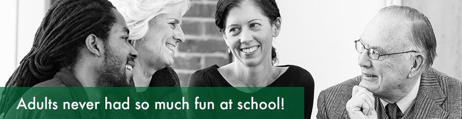 Adults never had so much fun at school!